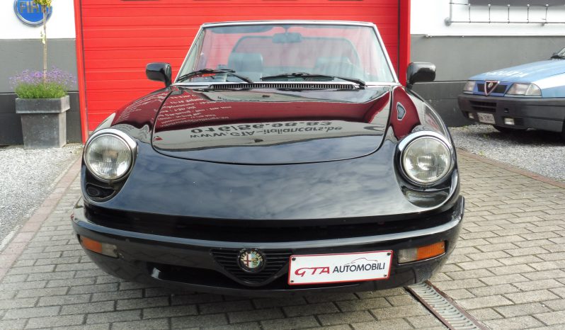 ALFA SPIDER