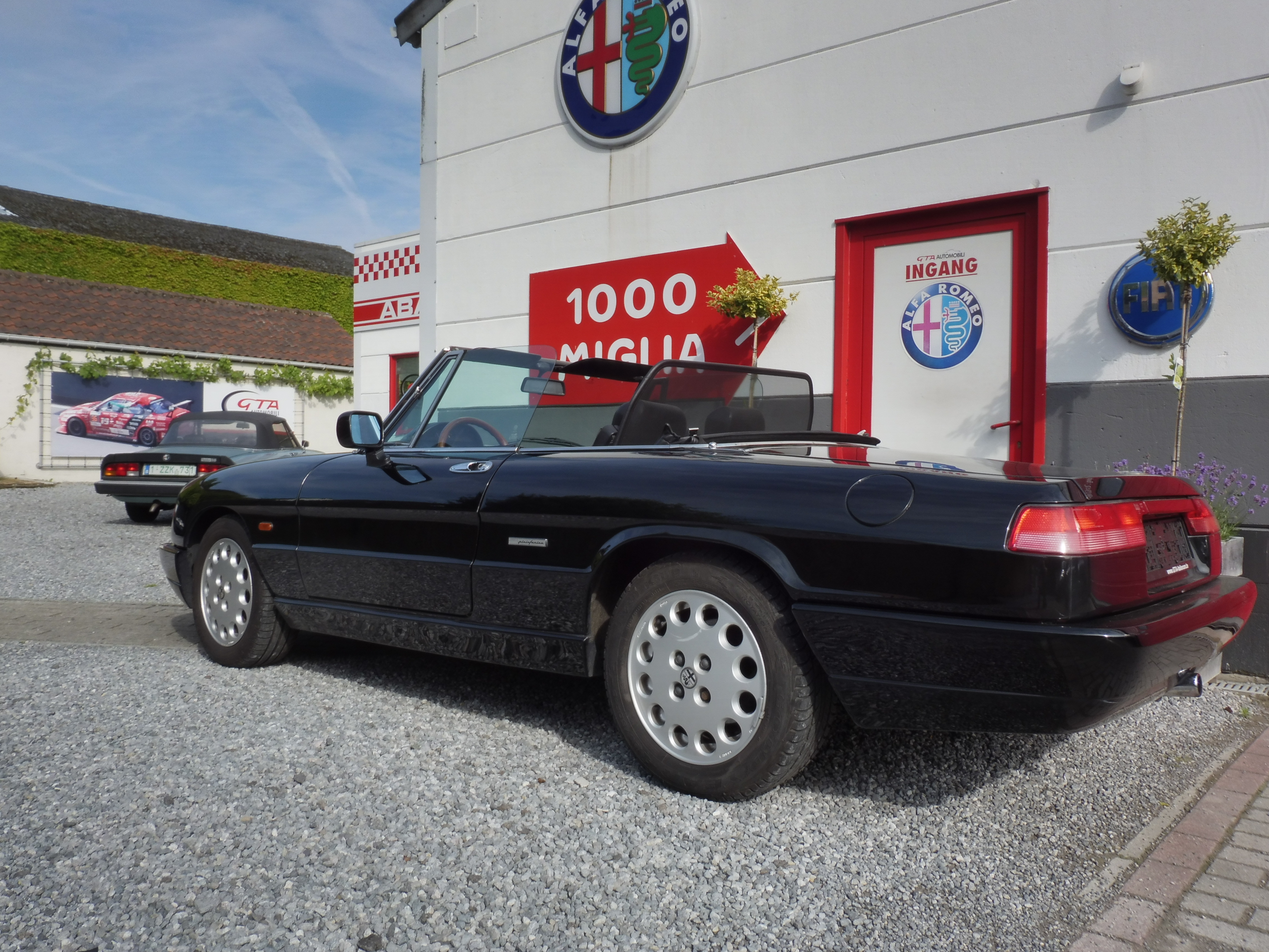 ALFA SPIDER